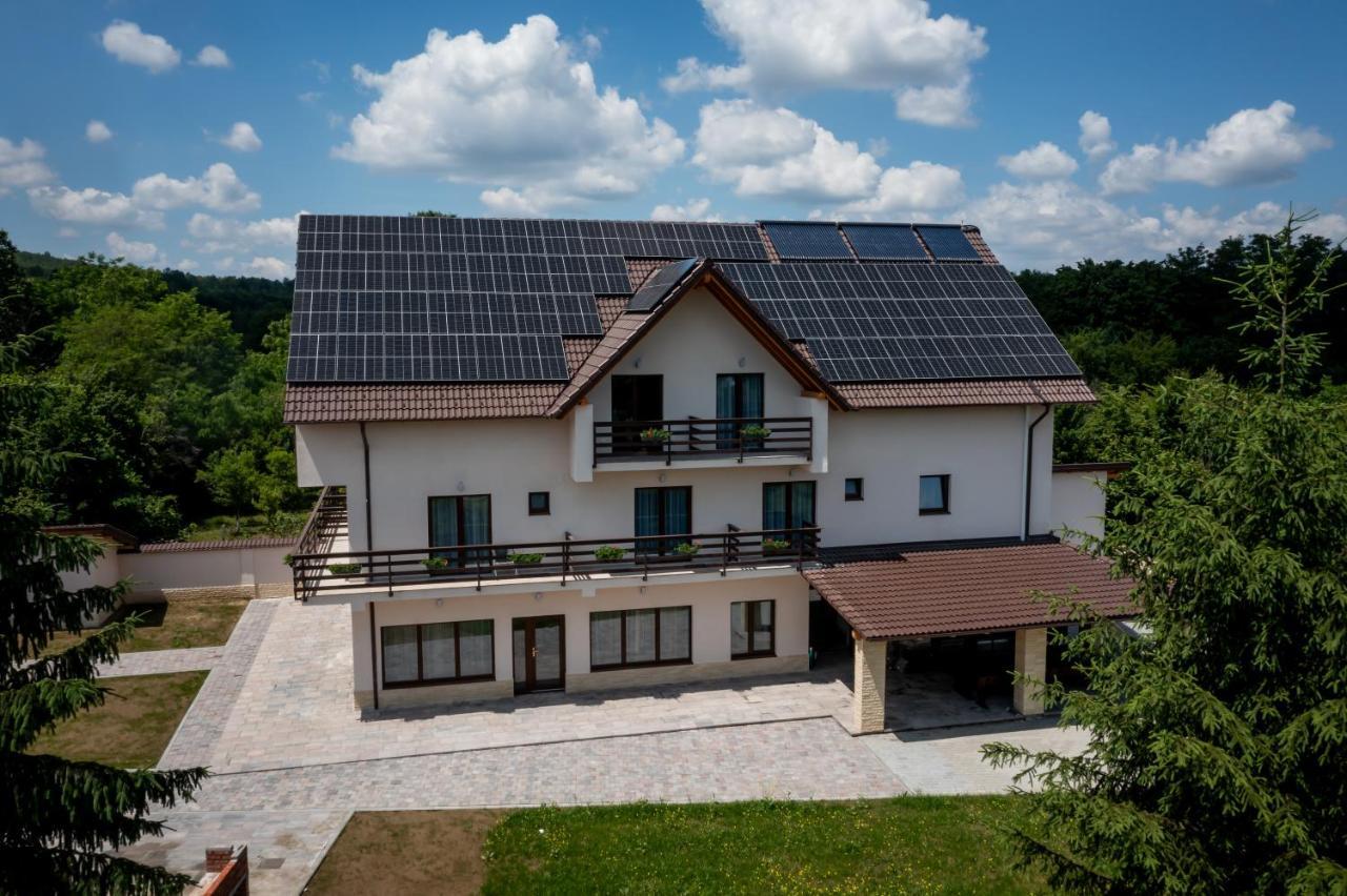 Evergreen Chalet Avrig Dış mekan fotoğraf